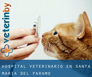 Hospital veterinario en Santa María del Páramo