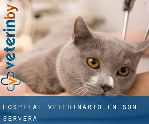 Hospital veterinario en Son Servera