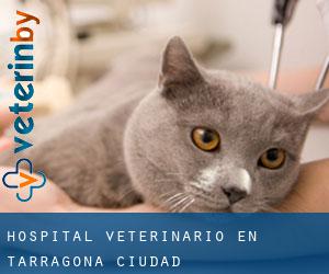 Hospital veterinario en Tarragona (Ciudad)