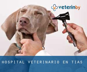 Hospital veterinario en Tías