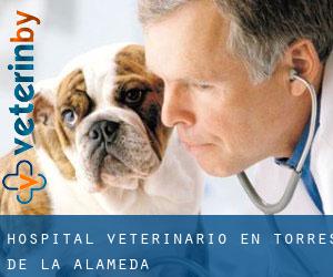 Hospital veterinario en Torres de la Alameda