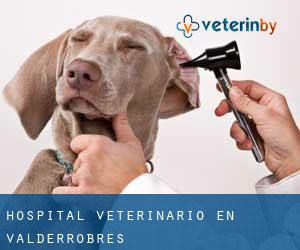 Hospital veterinario en Valderrobres