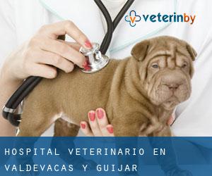 Hospital veterinario en Valdevacas y Guijar