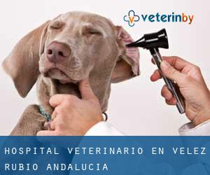 Hospital veterinario en Velez Rubio (Andalucía)