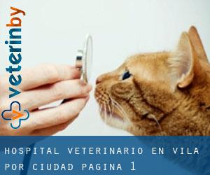 Hospital veterinario en Ávila por ciudad - página 1