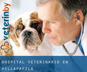 Hospital veterinario en Villafáfila