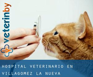 Hospital veterinario en Villagómez la Nueva