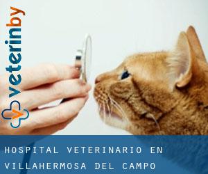 Hospital veterinario en Villahermosa del Campo