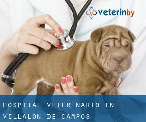 Hospital veterinario en Villalón de Campos