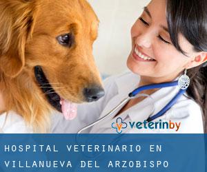 Hospital veterinario en Villanueva del Arzobispo