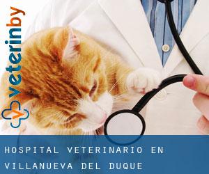 Hospital veterinario en Villanueva del Duque