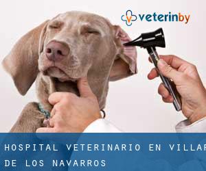 Hospital veterinario en Villar de los Navarros