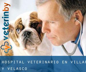 Hospital veterinario en Villar y Velasco