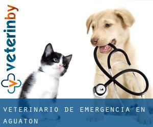 Veterinario de emergencia en Aguatón