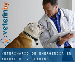Veterinario de emergencia en Ahigal de Villarino