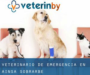 Veterinario de emergencia en Aínsa-Sobrarbe