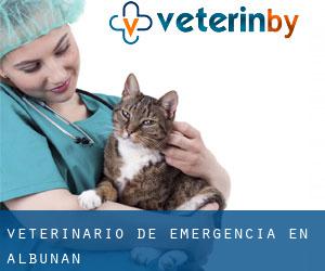 Veterinario de emergencia en Albuñán