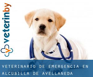 Veterinario de emergencia en Alcubilla de Avellaneda