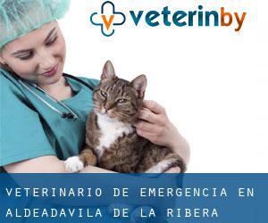 Veterinario de emergencia en Aldeadávila de la Ribera