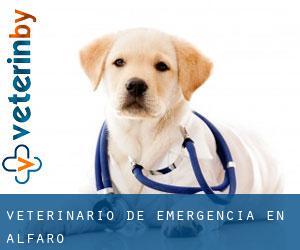 Veterinario de emergencia en Alfaro Veterinario de emergencia en Alfaro