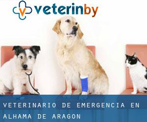 Veterinario de emergencia en Alhama de Aragón