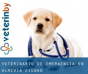 Veterinario de emergencia en Almería (Ciudad) Veterinario de emergencia en Almería (Ciudad)