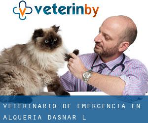 Veterinario de emergencia en Alqueria d'Asnar (l')