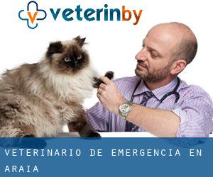 Veterinario de emergencia en Araia