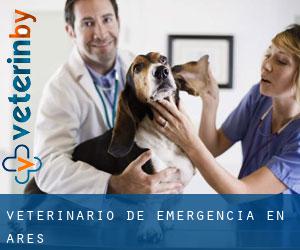 Veterinario de emergencia en Ares