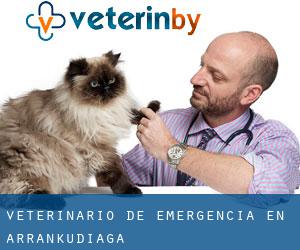 Veterinario de emergencia en Arrankudiaga