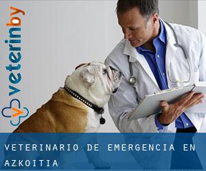 Veterinario de emergencia en Azkoitia