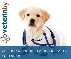 Veterinario de emergencia en Balaguer