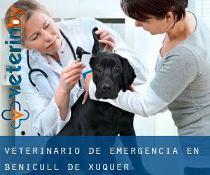 Veterinario de emergencia en Benicull de Xúquer