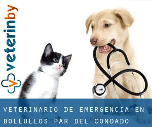 Veterinario de emergencia en Bollullos par del Condado