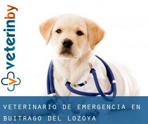 Veterinario de emergencia en Buitrago del Lozoya Veterinario de emergencia en Buitrago del Lozoya