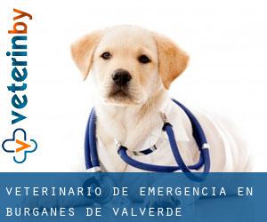 Veterinario de emergencia en Burganes de Valverde