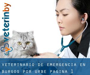 Veterinario de emergencia en Burgos por urbe - página 1