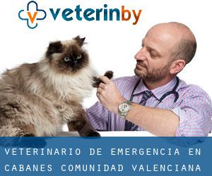 Veterinario de emergencia en Cabanes (Comunidad Valenciana)