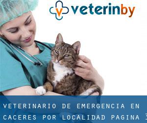 Veterinario de emergencia en Cáceres por localidad - página 3