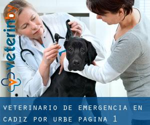 Veterinario de emergencia en Cádiz por urbe - página 1