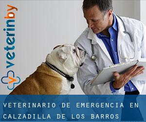 Veterinario de emergencia en Calzadilla de los Barros