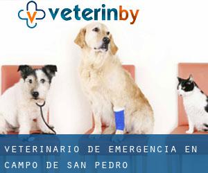 Veterinario de emergencia en Campo de San Pedro