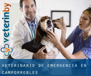 Veterinario de emergencia en Camporrobles
