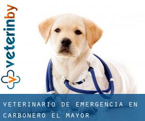 Veterinario de emergencia en Carbonero el Mayor Veterinario de emergencia en Carbonero el Mayor