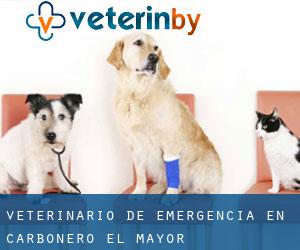 Veterinario de emergencia en Carbonero el Mayor