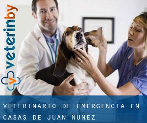 Veterinario de emergencia en Casas de Juan Núñez