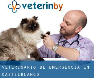 Veterinario de emergencia en Castilblanco