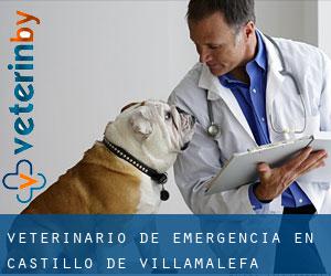 Veterinario de emergencia en Castillo de Villamalefa