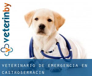 Veterinario de emergencia en Castroserracín