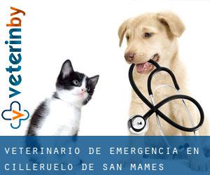 Veterinario de emergencia en Cilleruelo de San Mamés